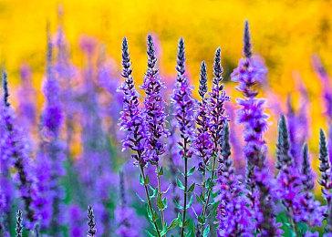 沙盒冒险《整蛊鸦》发布正式预告 将登陆主机和PC