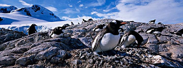 第三人称动作 RPG 《末世奥力》 现已在Steam发售