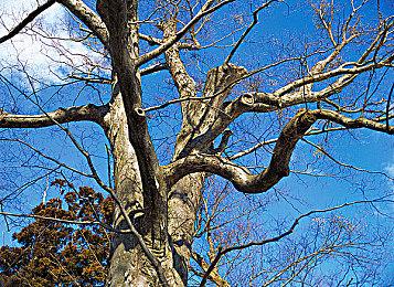 尽情捣蛋，与椰岛游戏旗下精品共度Steam万圣狂欢夜